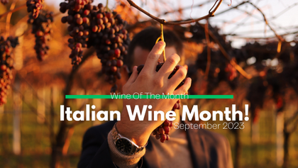 Italian Wine Month!