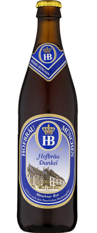 Hofbrau  Dunkel 500mL