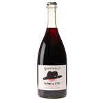 Neromaestri Lambrusco Emiliia IGP 2022