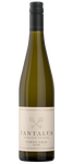 Tantalus Estate Pinot Gris 2020